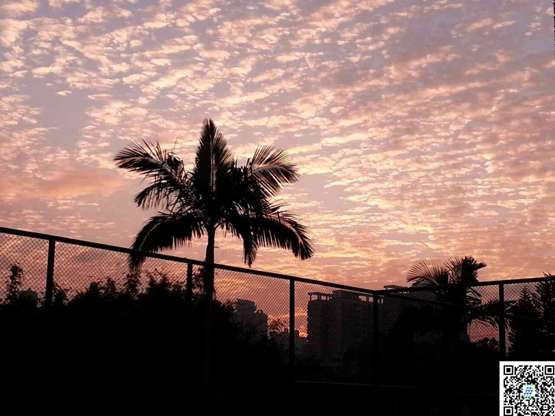 按此在新窗口浏览图片