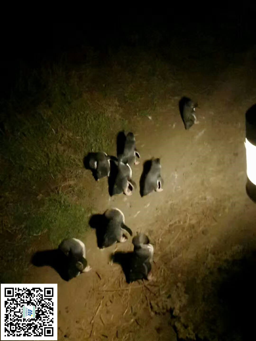 按此在新窗口浏览图片